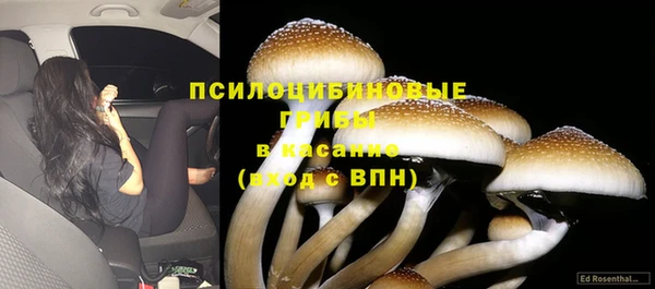 первитин Арсеньев
