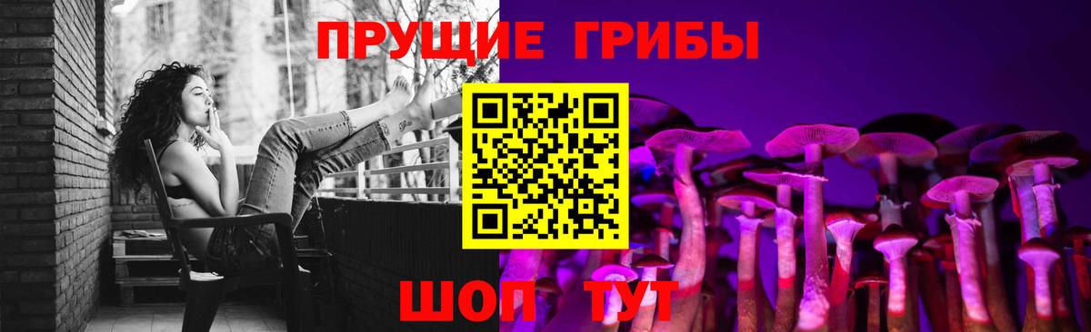 Галлюциногенные грибы мицелий  Галлюциногенные грибы Cubensis  Карачаевск  Вход с VPN 