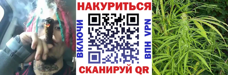 Канабис Amnesia  darknet клад  Карачаевск 